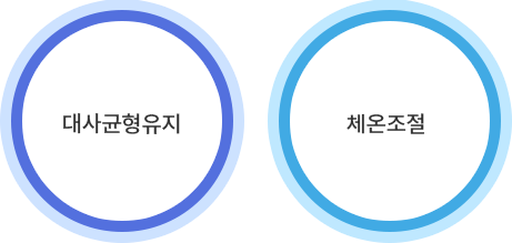 대사균형유지, 체온조절